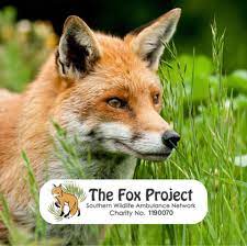 The Fox Project