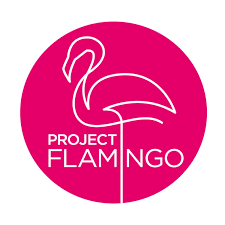 Project Flamingo