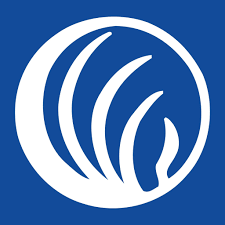 NAMI Minnesota