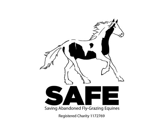 Saving Abandoned Fly-Grazing Equines (SAFE)