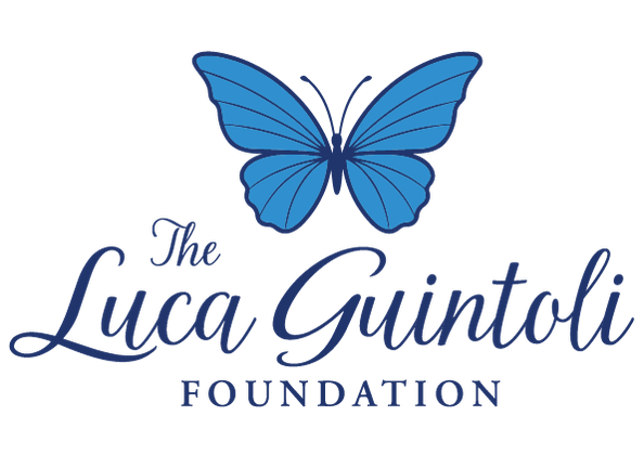 The Luca Guintoli Foundation