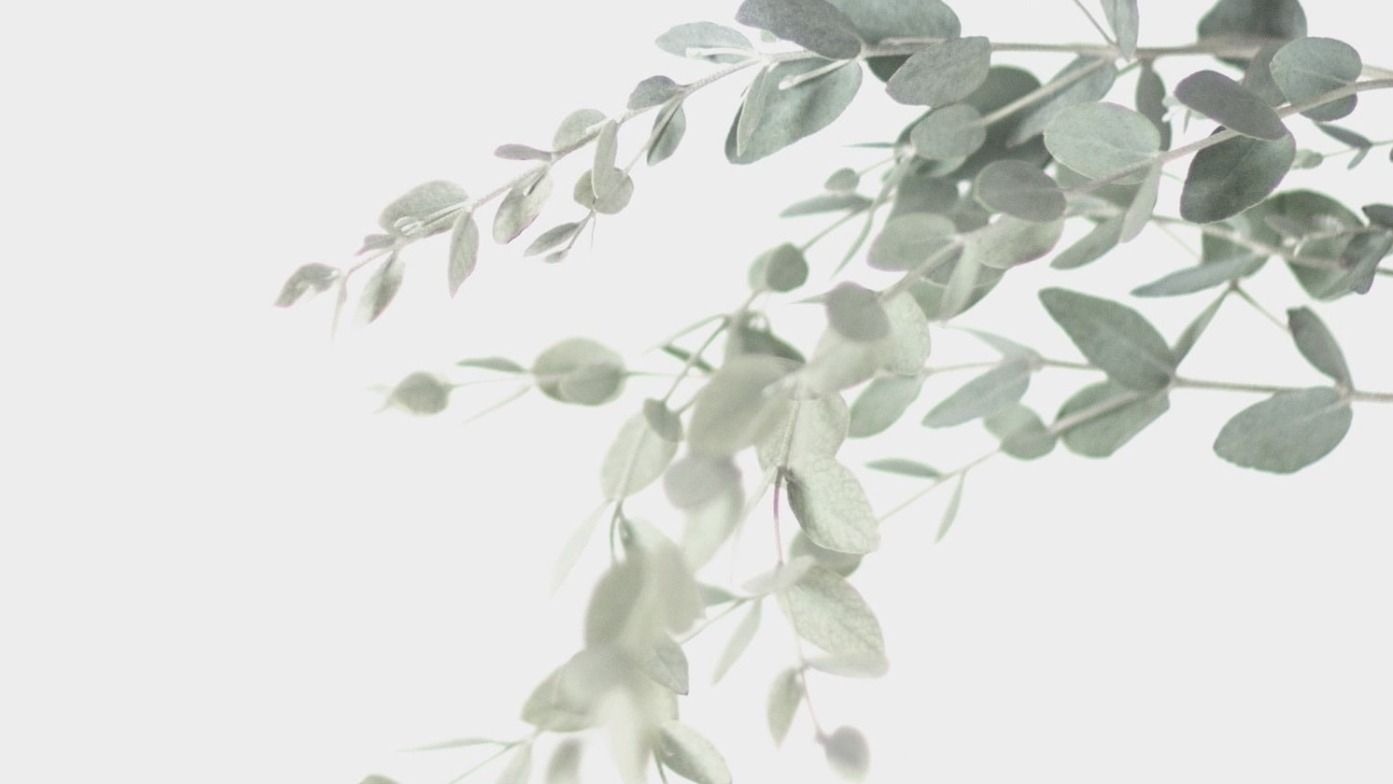 Pippa & Luca's Wedding - Charity Support