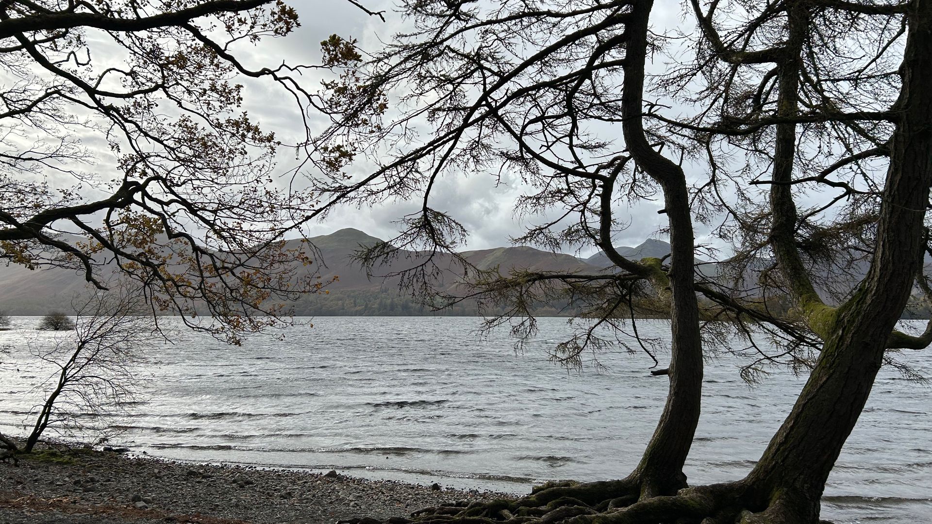 The December Dip Challenge