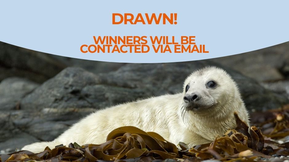 BDMLR's Christmas Raffle 2025 - CLOSED