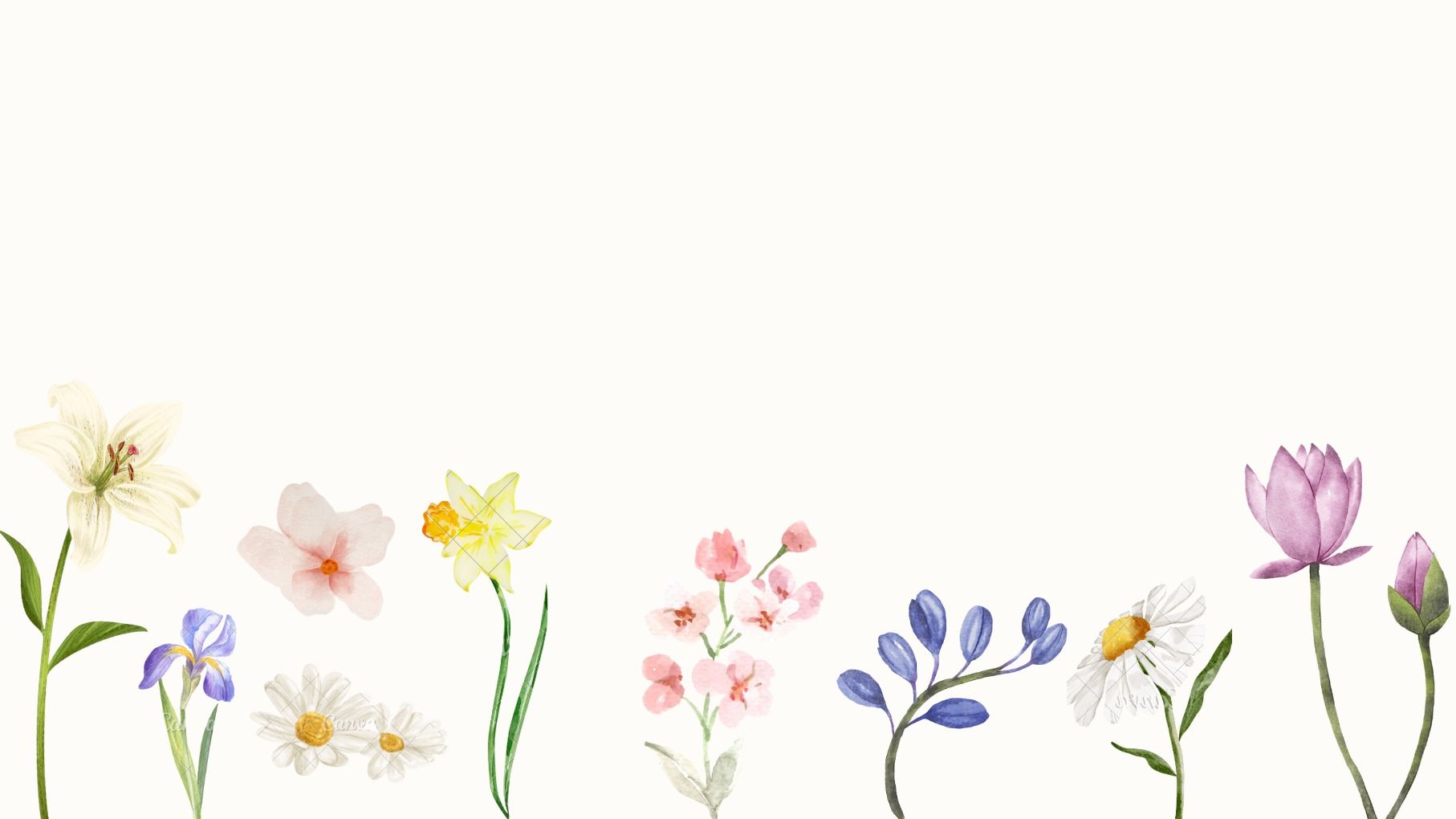 Ethan & Joe Wedding Donation