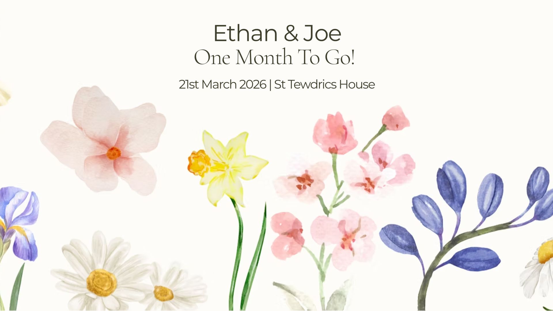 Ethan & Joe Wedding Donation