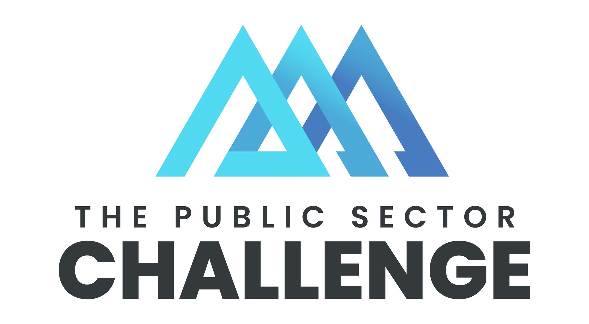Payments Page for Public Sector Challenge.