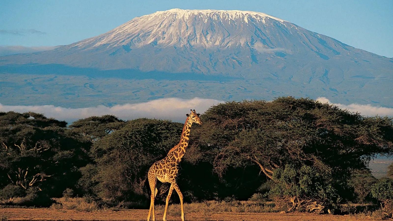 Kilimanjaro Charity Climb