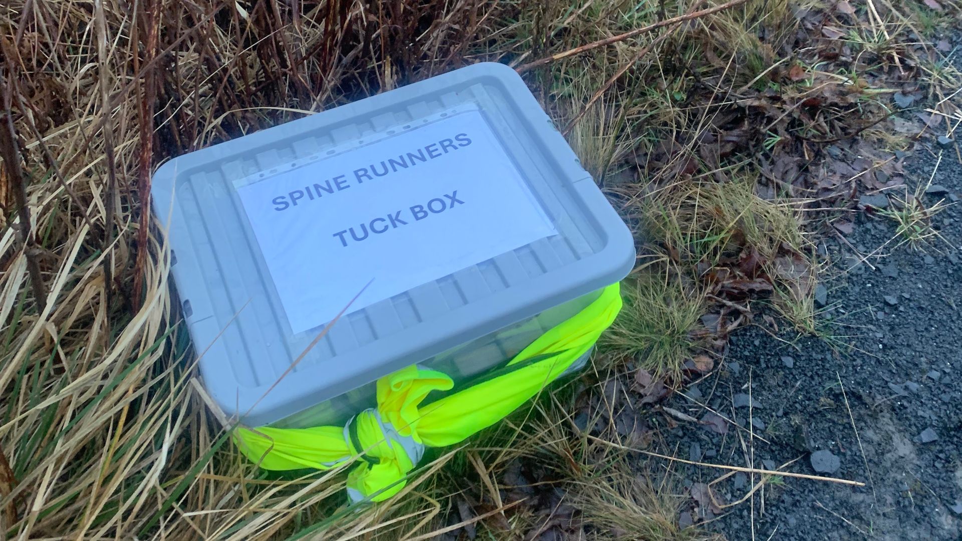 Rowan’s Missing Spine Race Tuck Box
