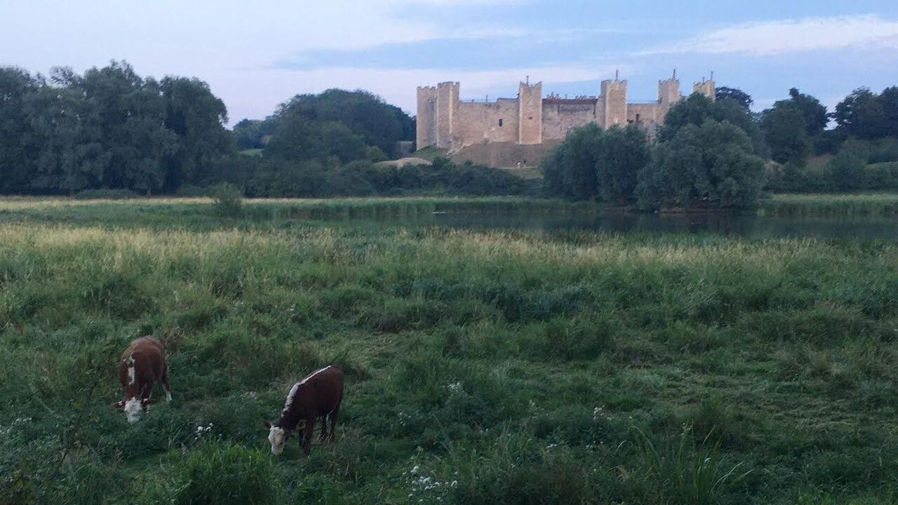 Mollie walks to Suffolk!