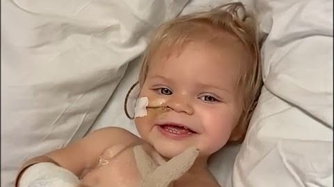 Summer's Brave Fight: Supporting Finley's Touch & Children with Cancer Fund