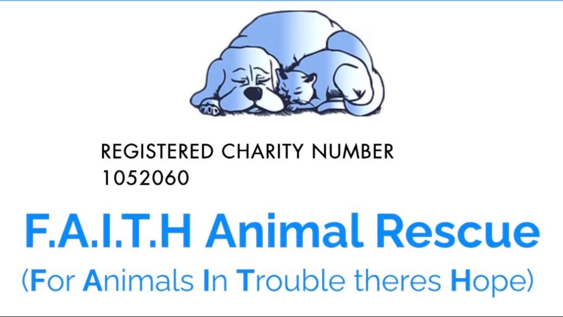 Sophie’s Run Norwich