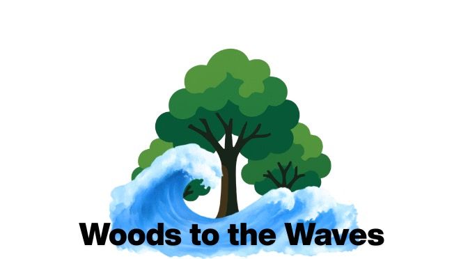 Woods to the Waves