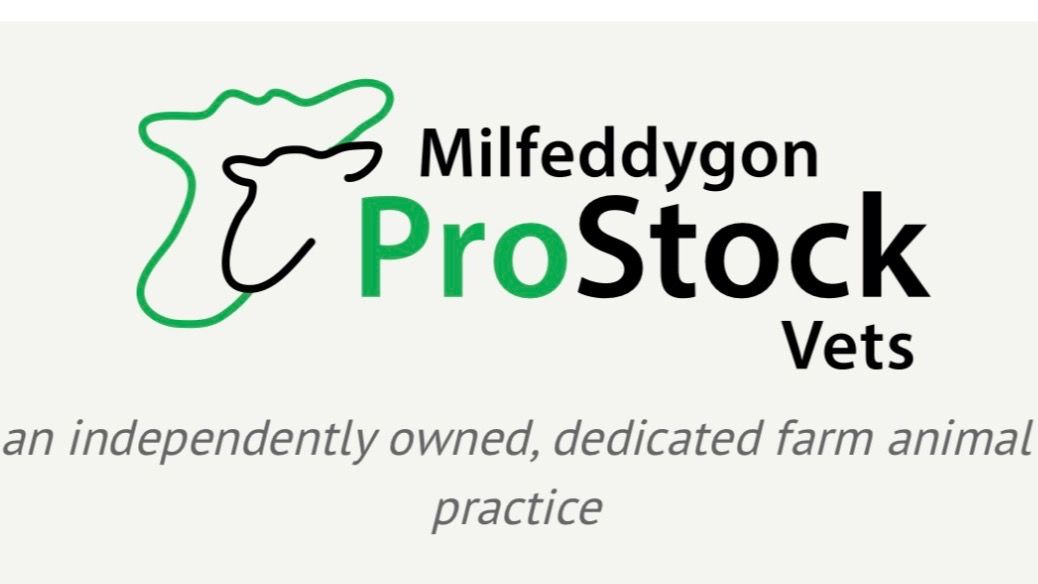 ProStock Takes on the Welsh 3 Peaks