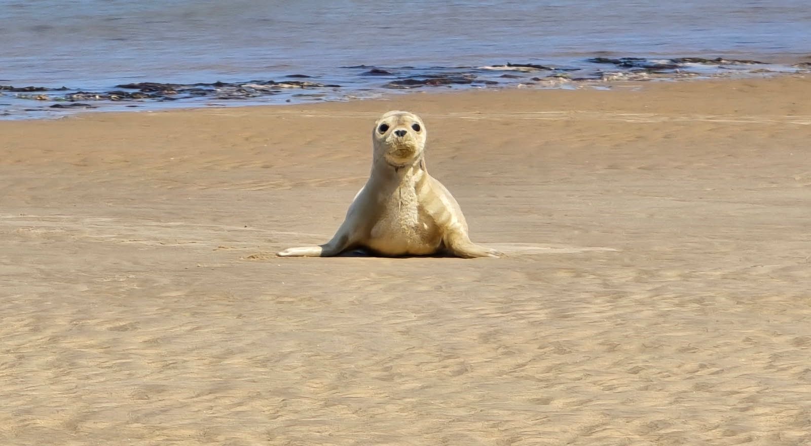 Stuart and Chris's Norfolk Walking Challenge