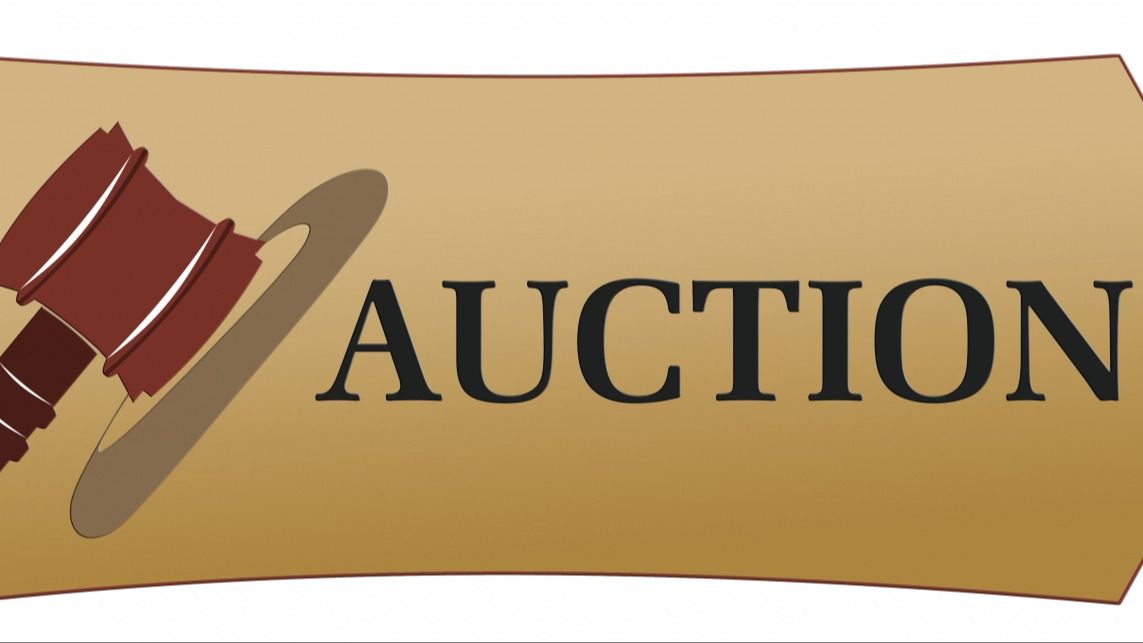 Loraine Michaelis Foundation Auction Fundraiser