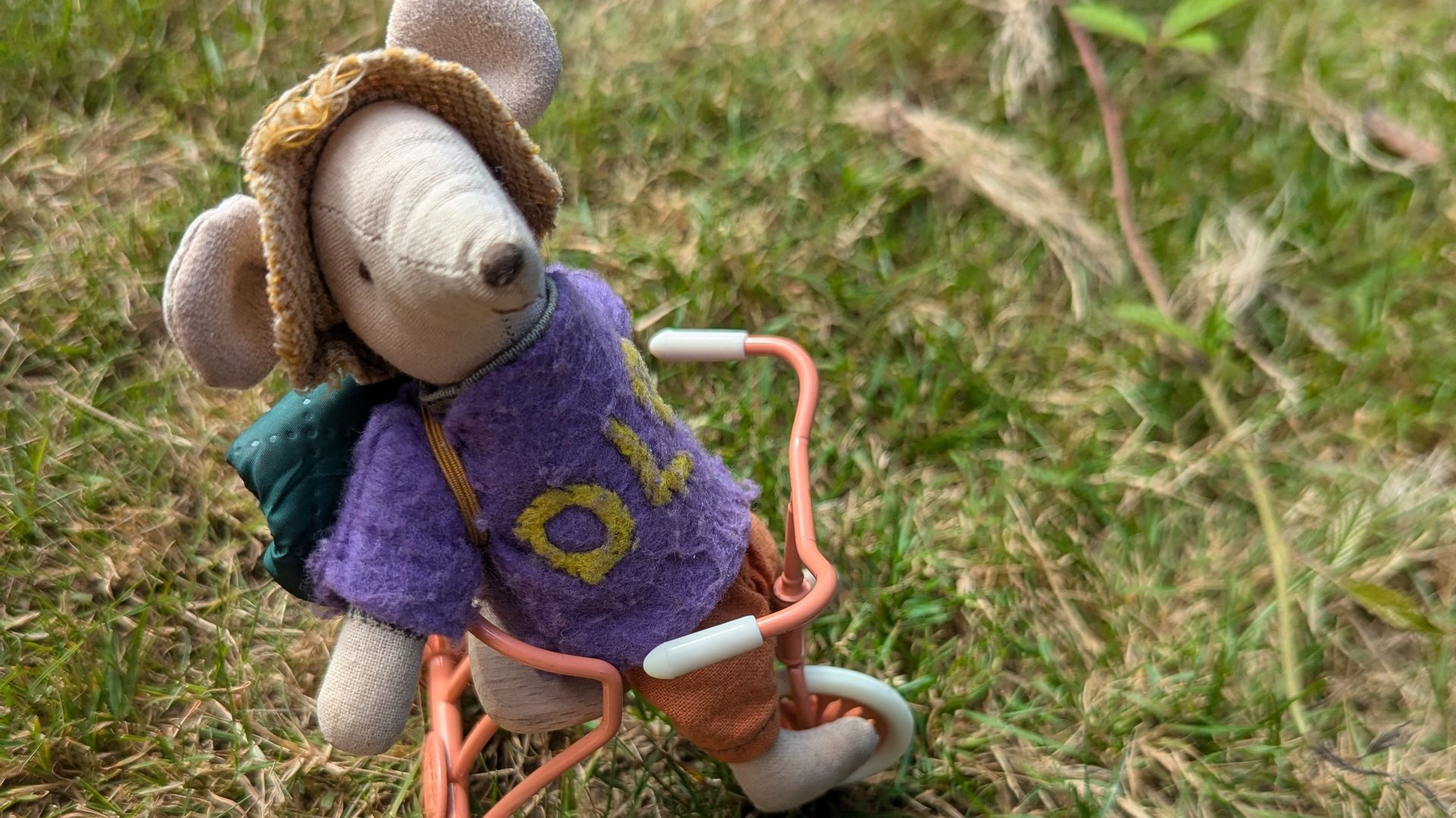 Cycling the circumference of Dorset for DLD