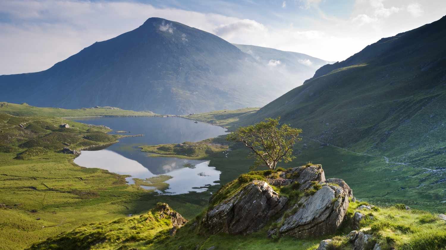 A Mountain's Tale