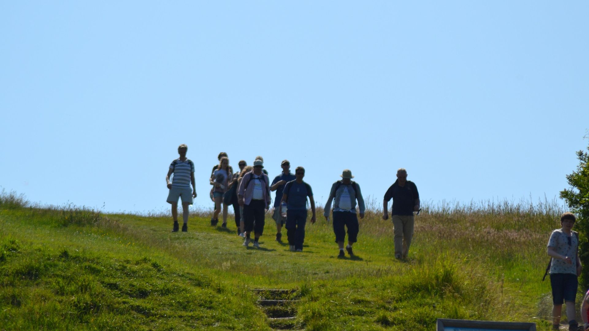 Walk a Week for Wolfram