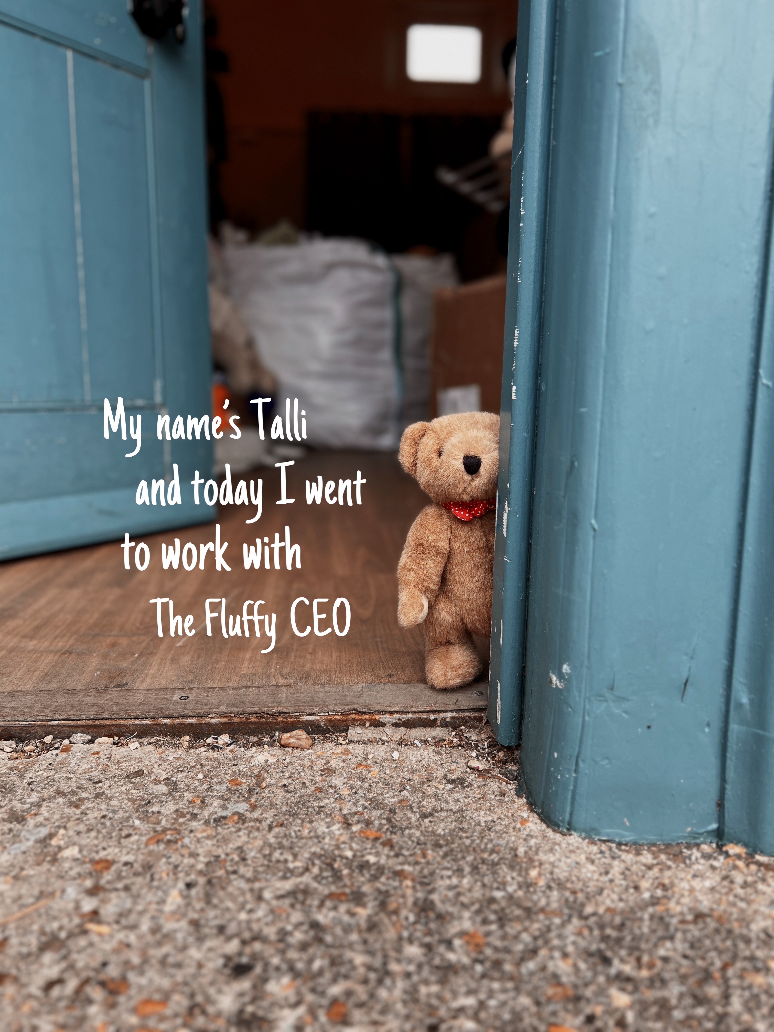 #20 Talli prize image