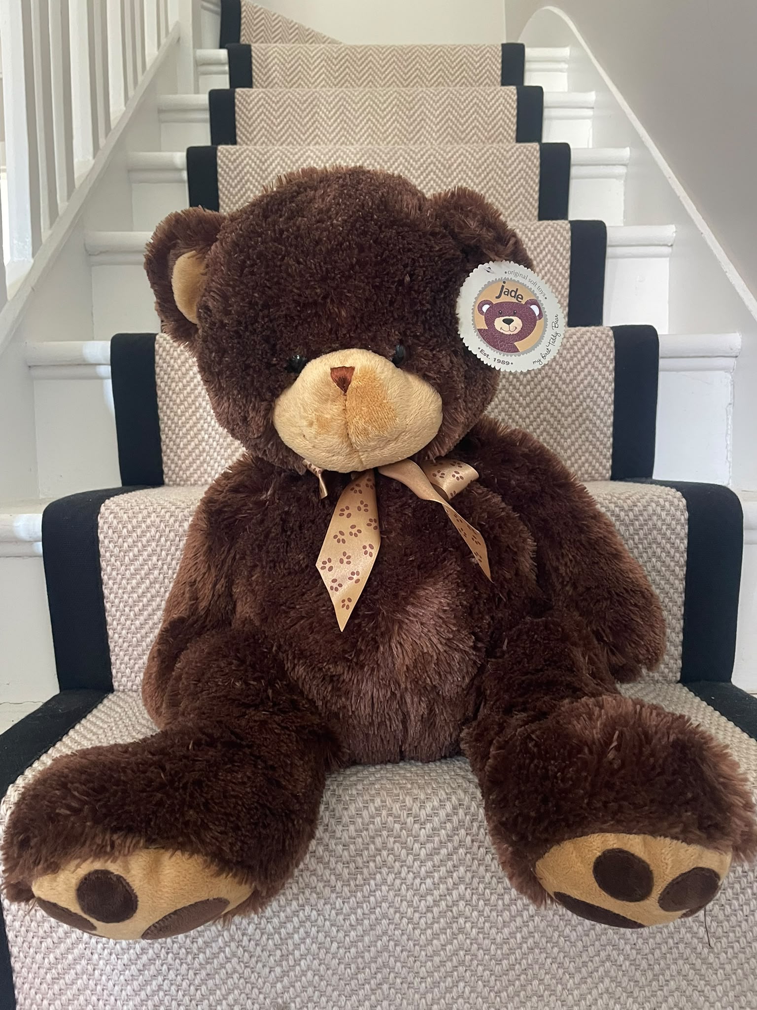 Large teddy bear and 2 kids games