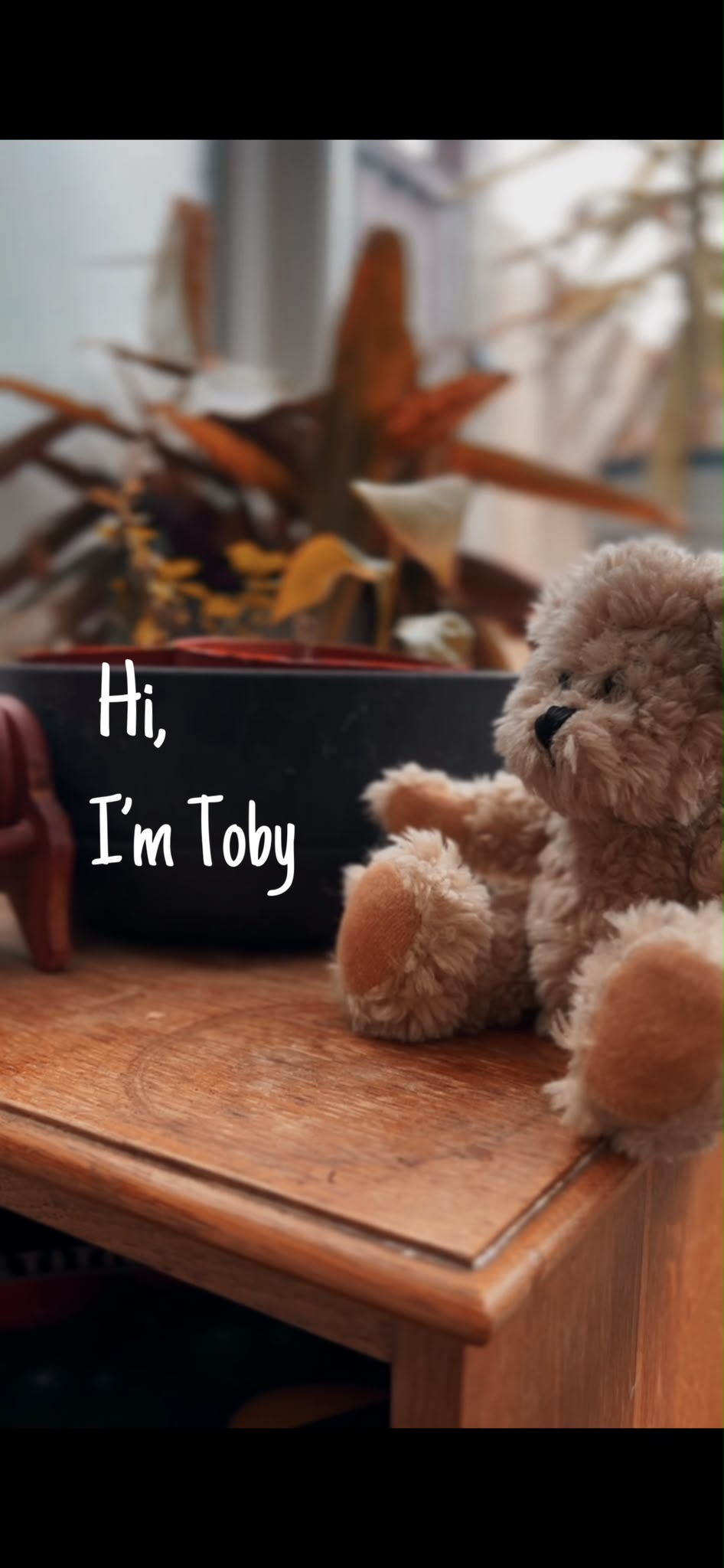 #19 Toby prize image
