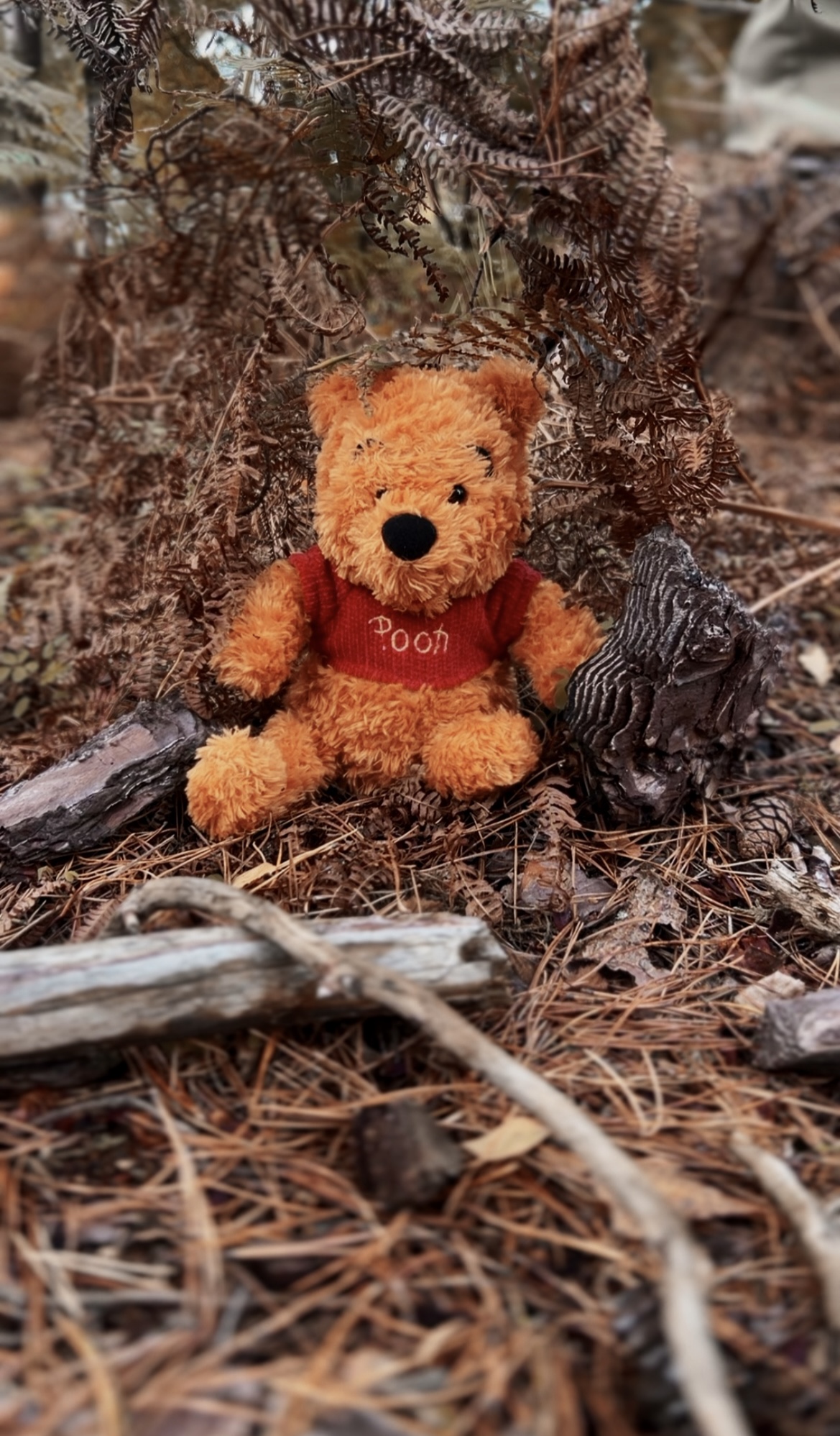 #24 Pooh prize image