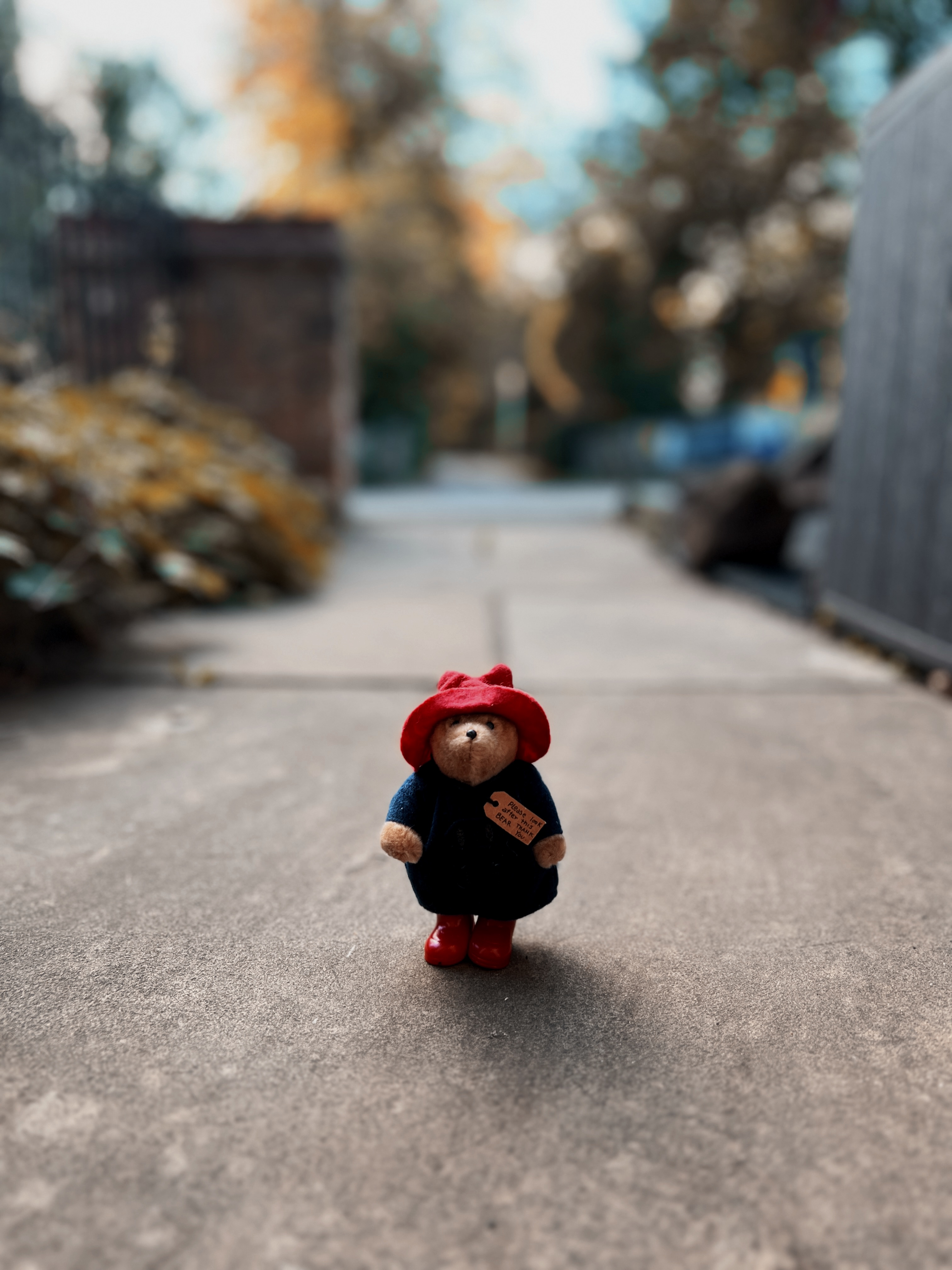 #11 Paddington prize image