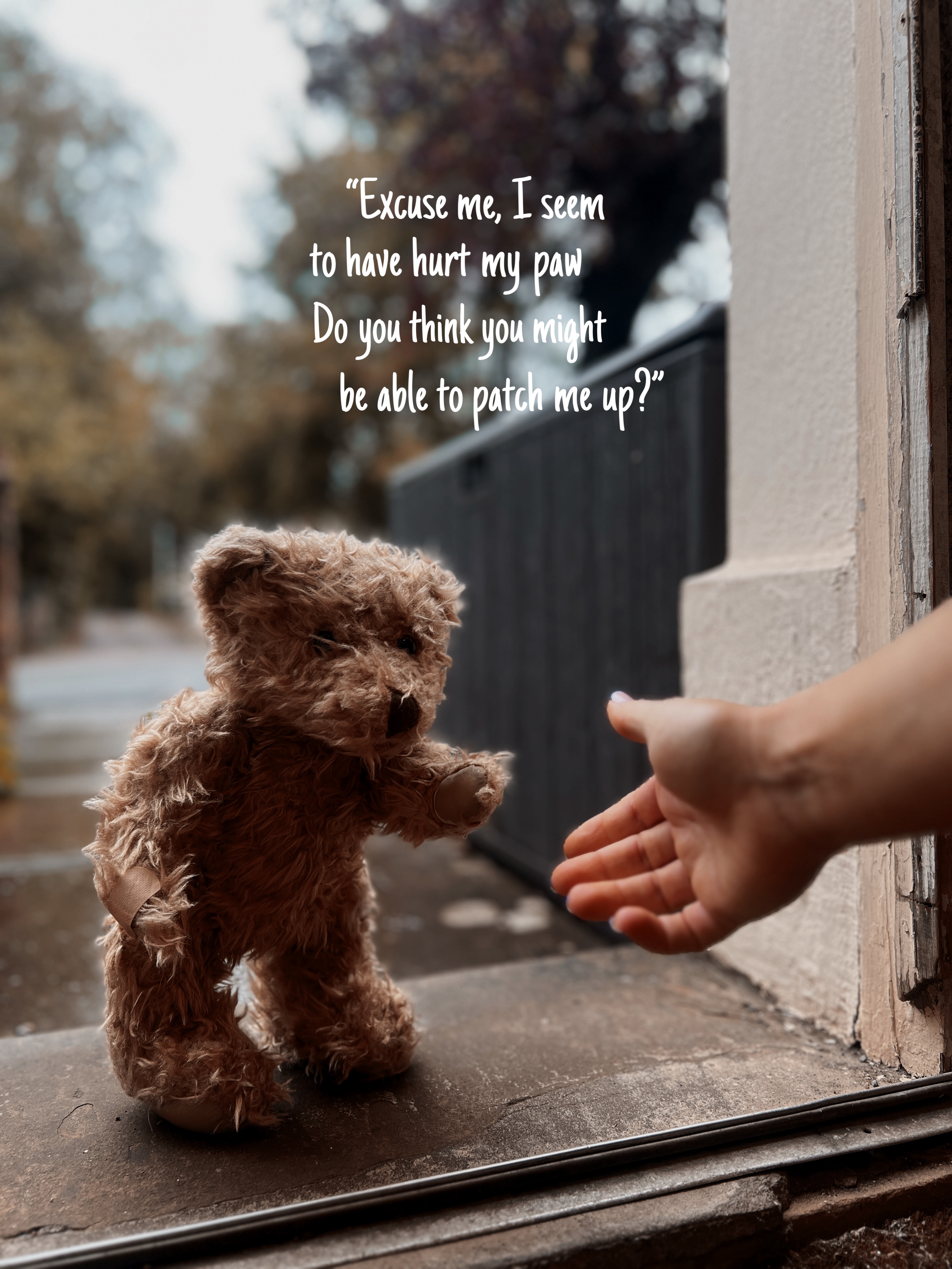 #13 Wilfred prize image