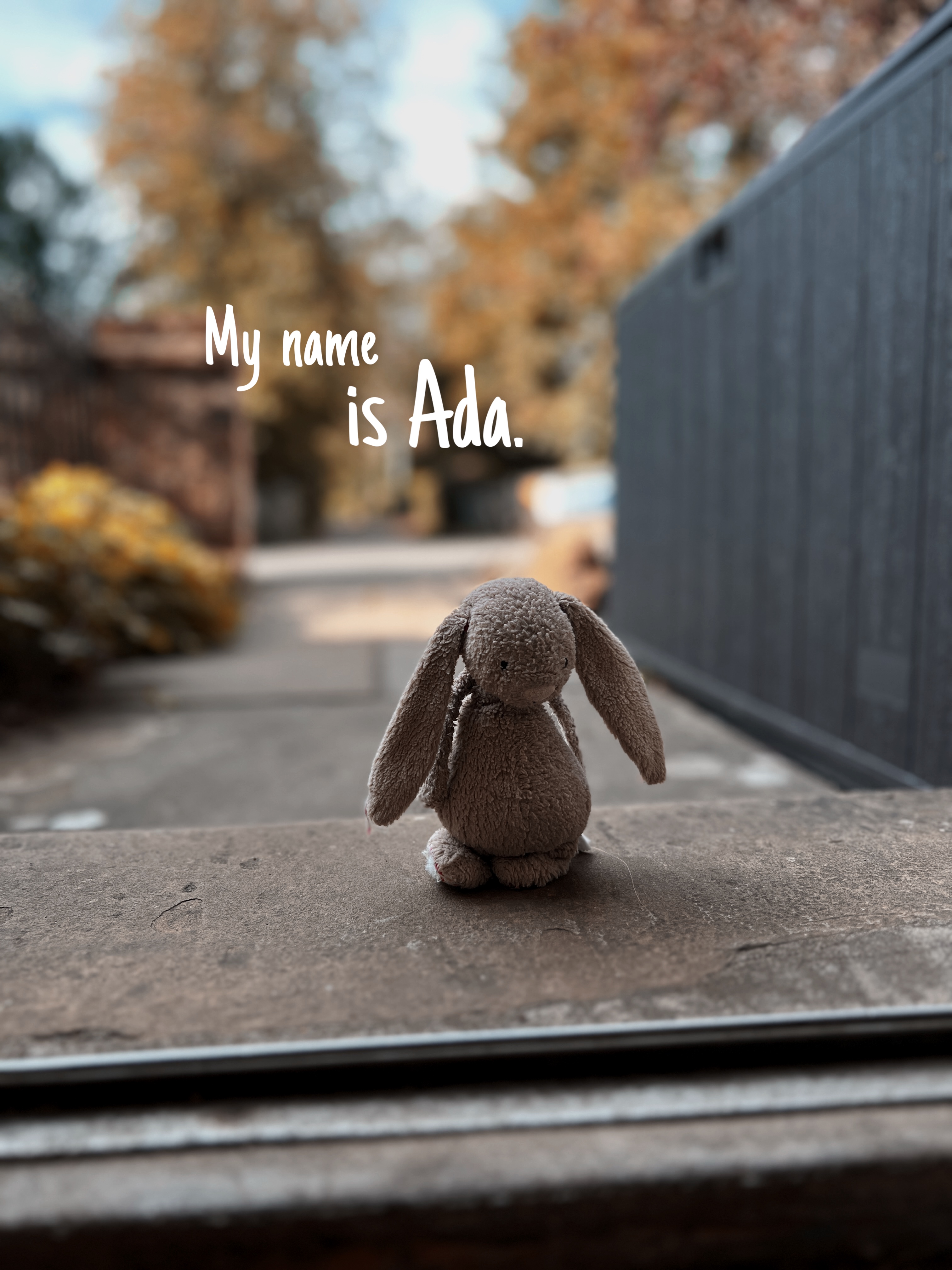 #10 Ada prize image