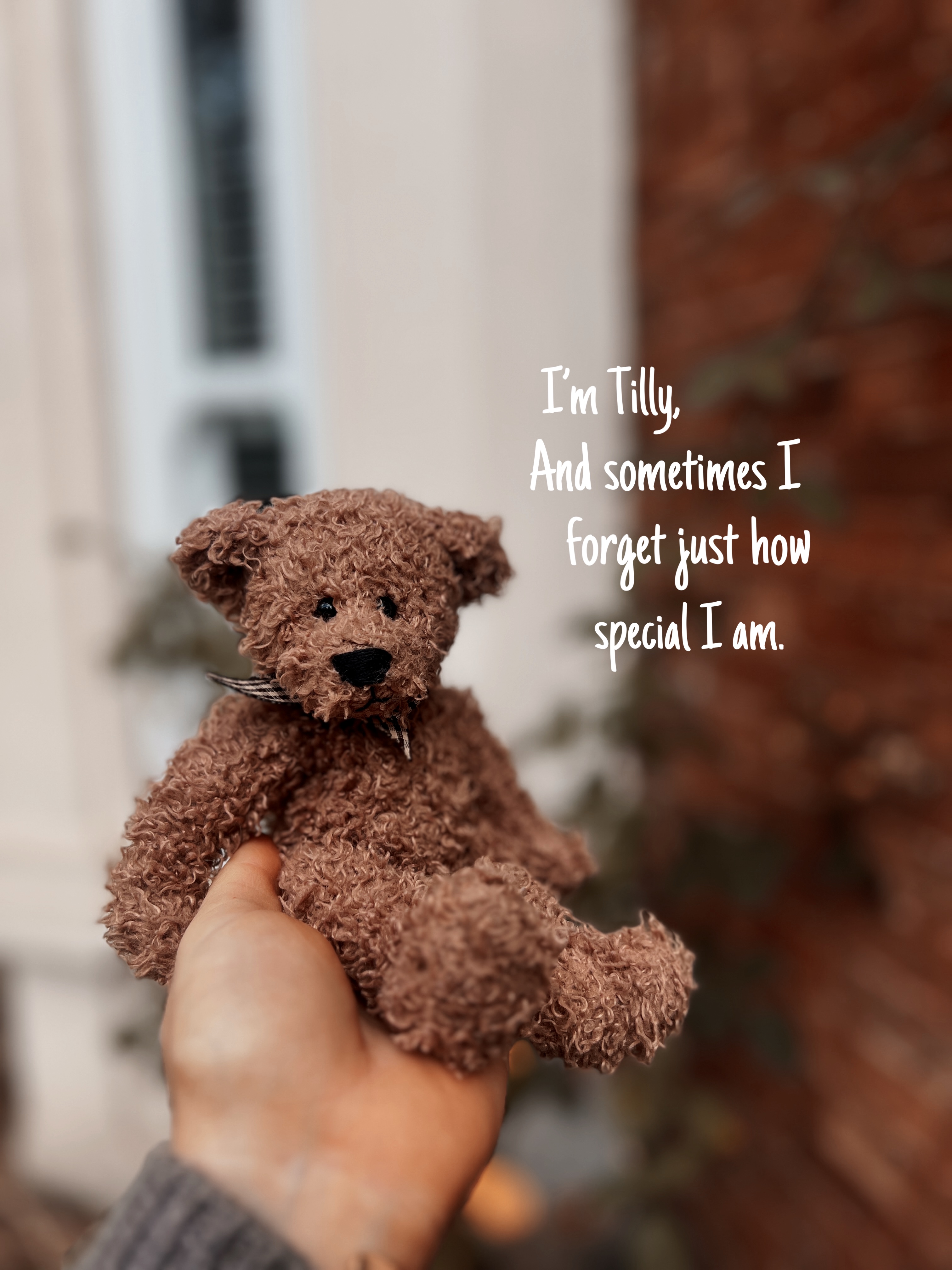 #12 Tilly prize image