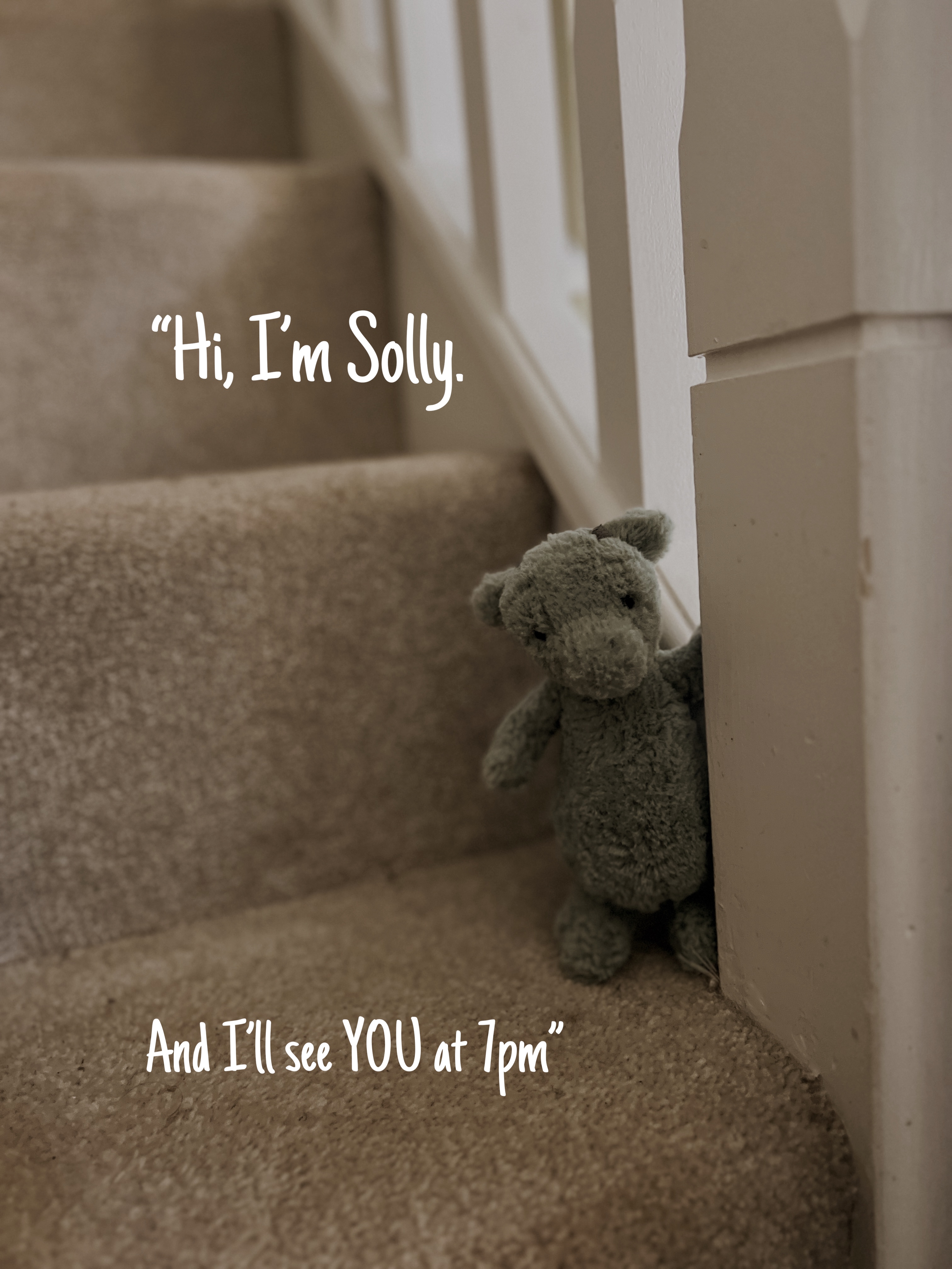#17 Solly prize image
