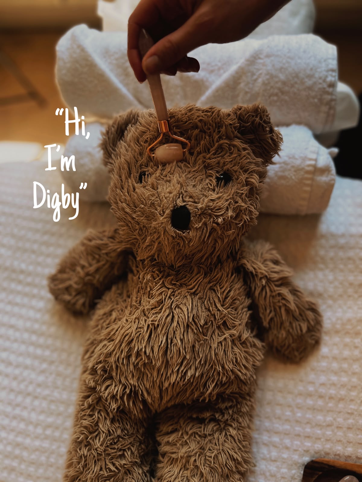 #06 Digby prize image