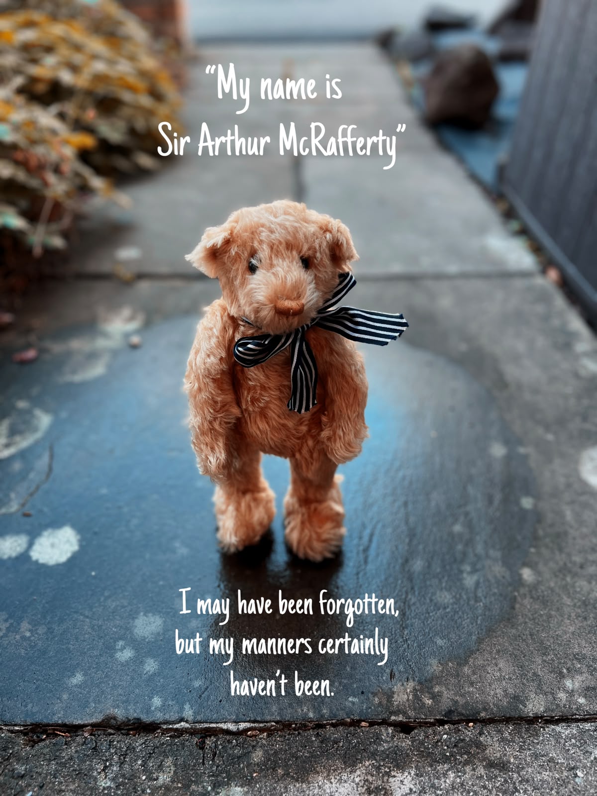 #07 Sir Arthur McRafferty prize image